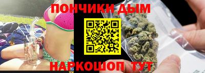 индика Новодвинск