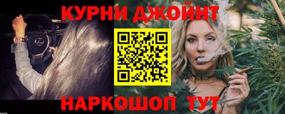 индика Новодвинск