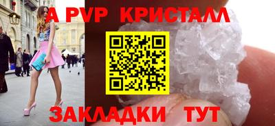 индика Новодвинск