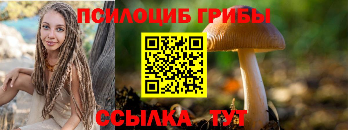 Псилоцибиновые грибы мухоморы  Галлюциногенные грибы Cubensis  Вход с VPN  Усолье-Сибирское 